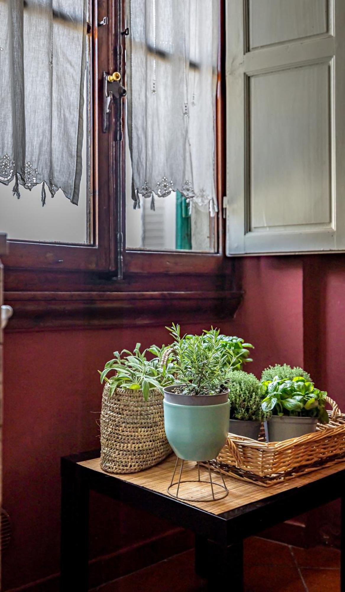 Guest house Il Magnifico Florence
